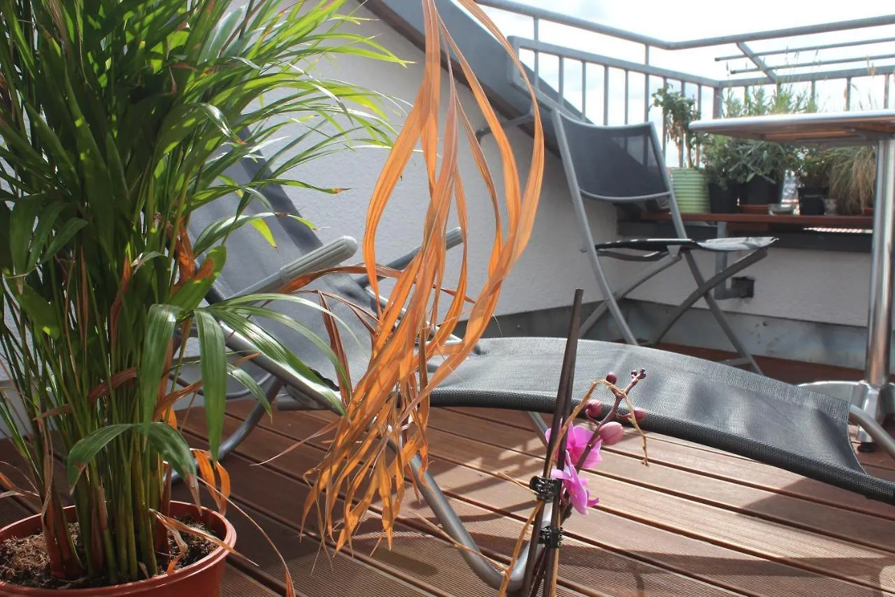 Rooftop Loft Berlin Mitte And Bikes